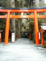 200711031139000.jpg